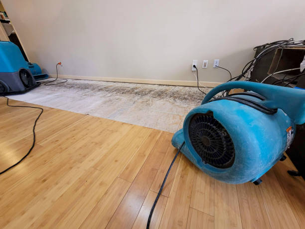 Professional Structural Drying technician working in Webster, IN